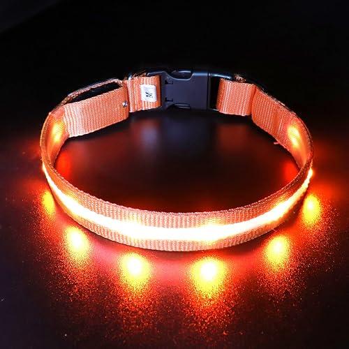 LED Dog Collar Orange - glowing in the dark