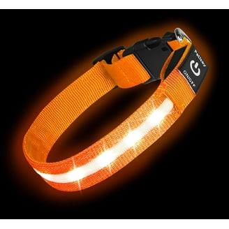 LED Dog Collar Orange - USB Rechargeable